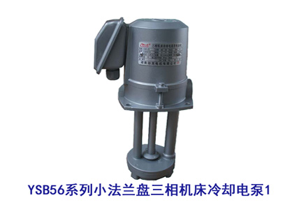 YSB56系列小法兰盘三相机床冷却电泵1