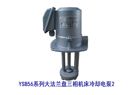 YSB56系列大法兰盘三相机床冷却电泵2