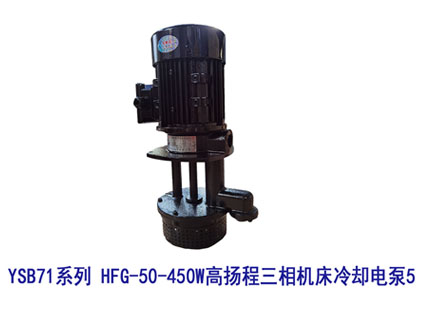 YSB71系列 HFG-50-450W高扬程三相机床冷却电泵5